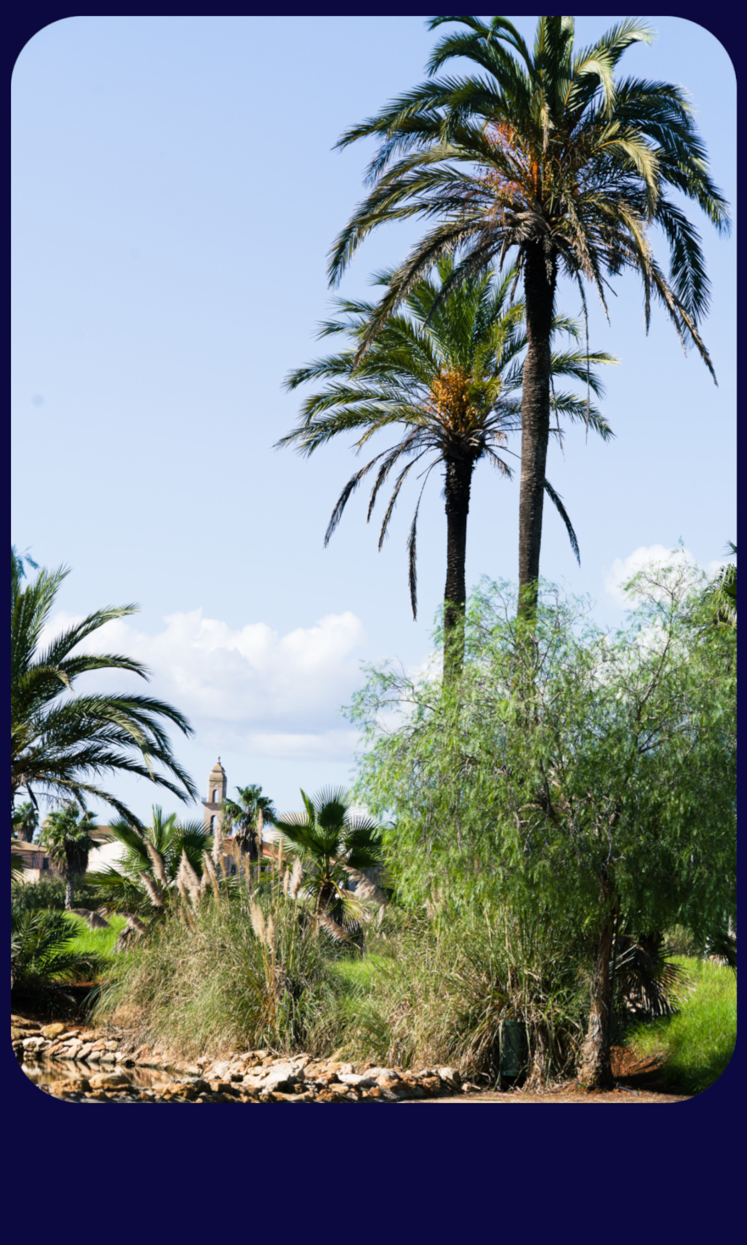 Mallorca Botanicatus